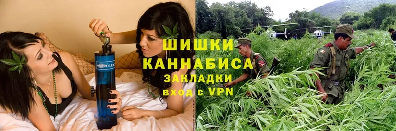 где продают наркотики  Кострома  Канабис THC 21% 